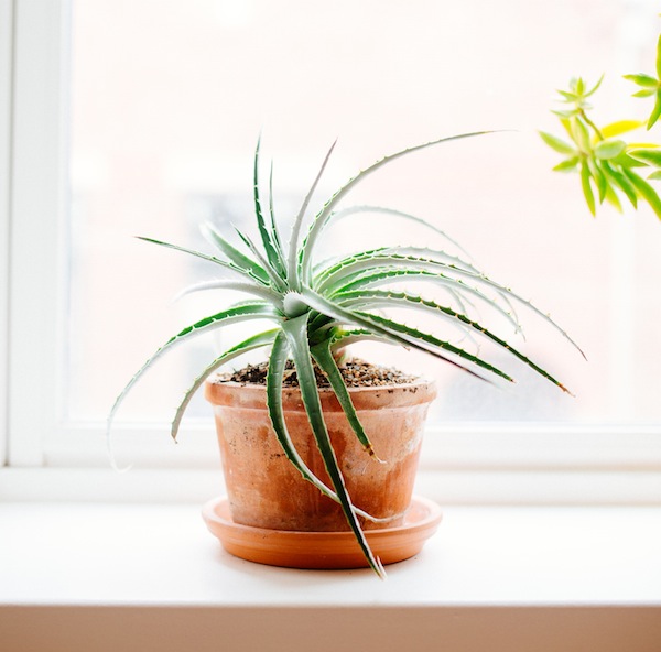 client referral thank-you